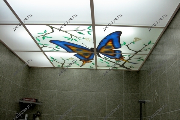 Потолок с фотопечатью в алюминиевой раме